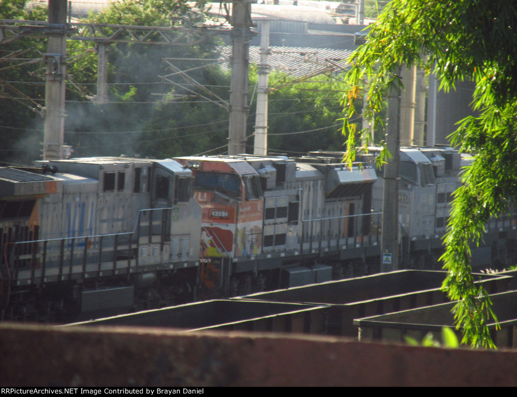 VLI 8383